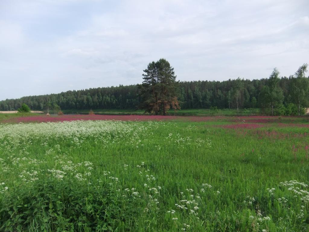 Nature Retreat "Upes Dizvietas" Kraslava Bagian luar foto